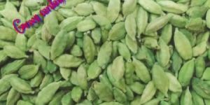 Green Cardamom