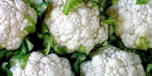 Fresh Cauliflower