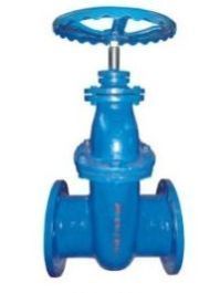 Glandless Sluice Valve