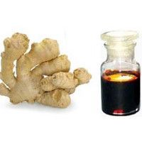 500 Gm Ginger Oleoresin