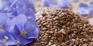 Flax Seed