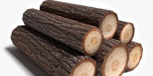 Jungle Wood Logs