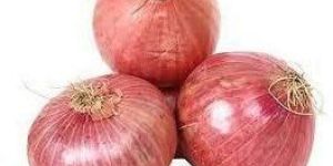 Fresh Red Onion