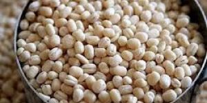 Unskinned Black Gram