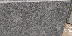 P White Granite Slab