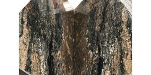 Silky Brown Granite Slab