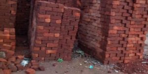 Red Bricks
