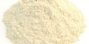 Shatavari White Powder