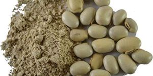 Shuddh Konch Beej Powder