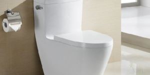 Ceramic Water Closet