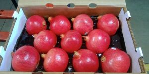 Fresh Pomegranate