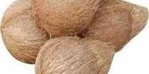 Semi Husked Coconut