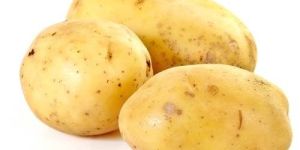 Fresh Potato