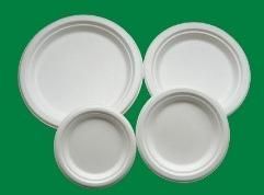 BAGASSE PLATES AND BIRCH WOOD CUTLERY
