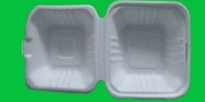 BAGASSE PRODUCTS
