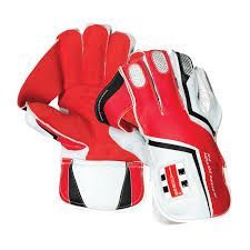 Wicket Keeping Gloves