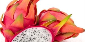 Dragon Fruit