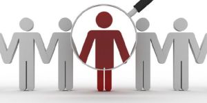 Background Verification