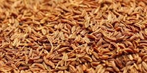 Cumin Seeds