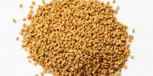 Fenugreek Seed