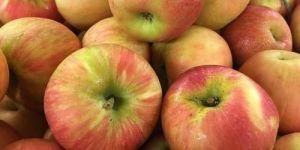 Fresh Fuji Apple