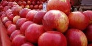 Fresh Kashmiri Apple