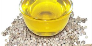 Moringa Seed Oil