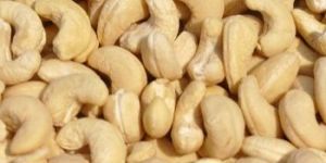 Dried Raw Cashew Nuts