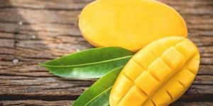 Fresh Alphonso Mango