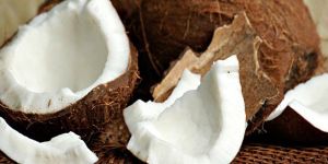 Organic Coconut