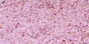Dehydrated Pink Onion Granules