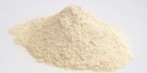 Dehydrated White Onion Powder