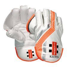 Wicket Keeping Gloves