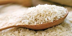 Non Basmati Rice