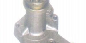 Maruti Car Water Pump Assembly