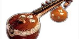 Fusion Sitar
