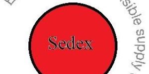 SEDEX Audit in Delhi