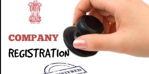 Company Registration Services