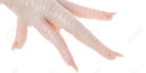 Chicken Feet