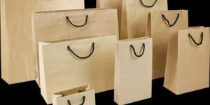 Twisted Paper Handle Bag