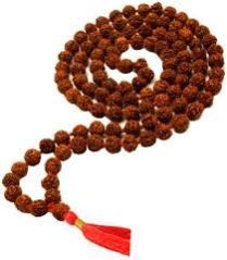 Rudraksha