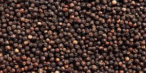 Black Pepper Seeds