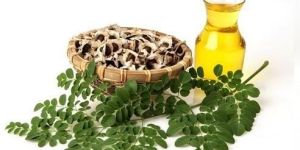 Moringa Oil