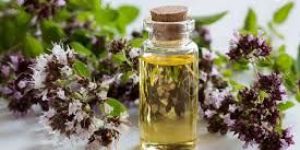 Oregano Oil