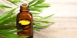 Tea Tree Oil