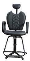Beauty Parlour Chair