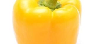 Fresh Yellow Capsicum