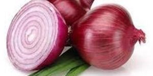 Natural Red Onion