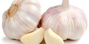 Raw Garlic
