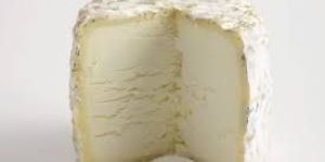 Fresh Cheese